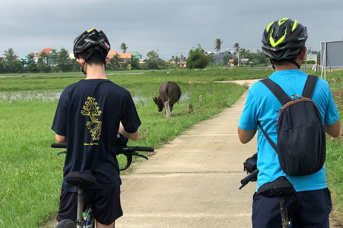 Half-day Hoi An Countryside Bike Tour and Basket Boat with Lunch - The Cam Kim Bridge viewpoint