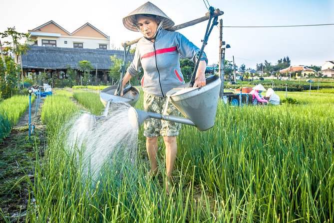 Half-day Hoi An Sunrise Or Sunset Photo Tour - Why the golden hour matters in Hoi An
