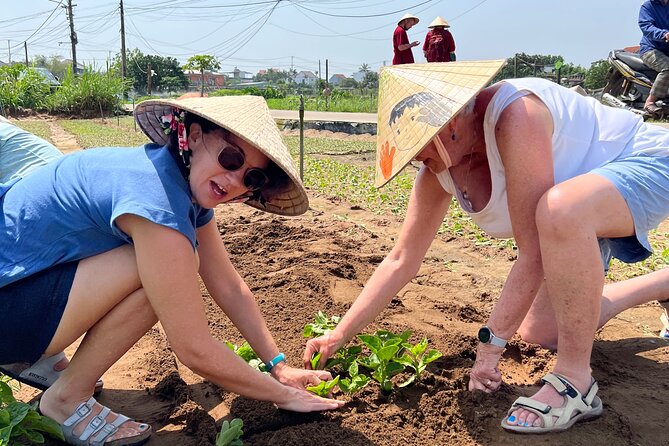 Hand on Vietnamese Cooking class with Ms hanh - From Hoi An hotel pickup to the local market
