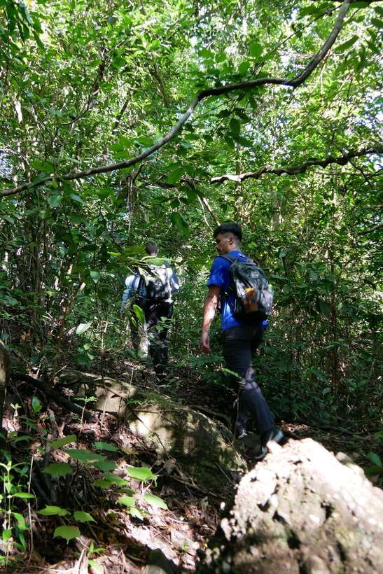 Hoi An: Amazing My Son Sanctuary and Mountain Trekking - Into the forest with a former hunter