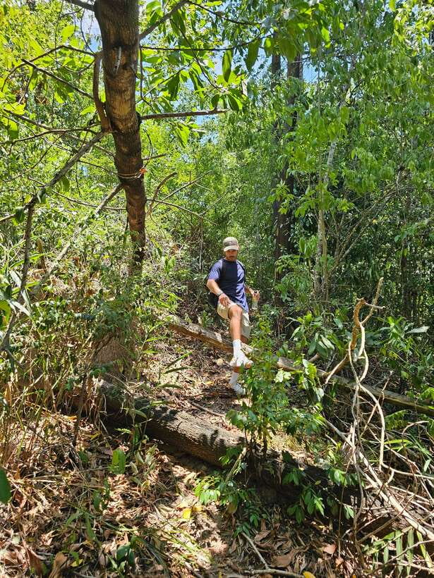 Hoi An: Amazing My Son Sanctuary and Mountain Trekking - What makes the guiding valuable