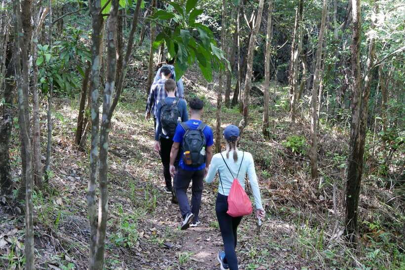Hoi An: Amazing My Son Sanctuary and Mountain Trekking - Who should book this experience?