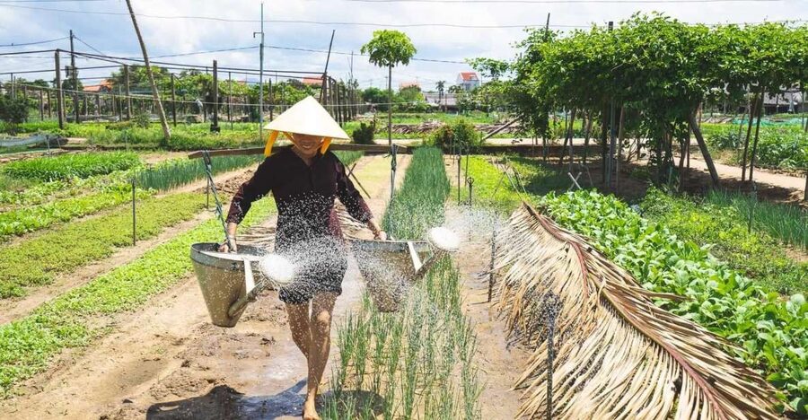 Hoi An: Authentic Cooking class in organic Herb Village - Why this cooking class feels different from a city food lesson