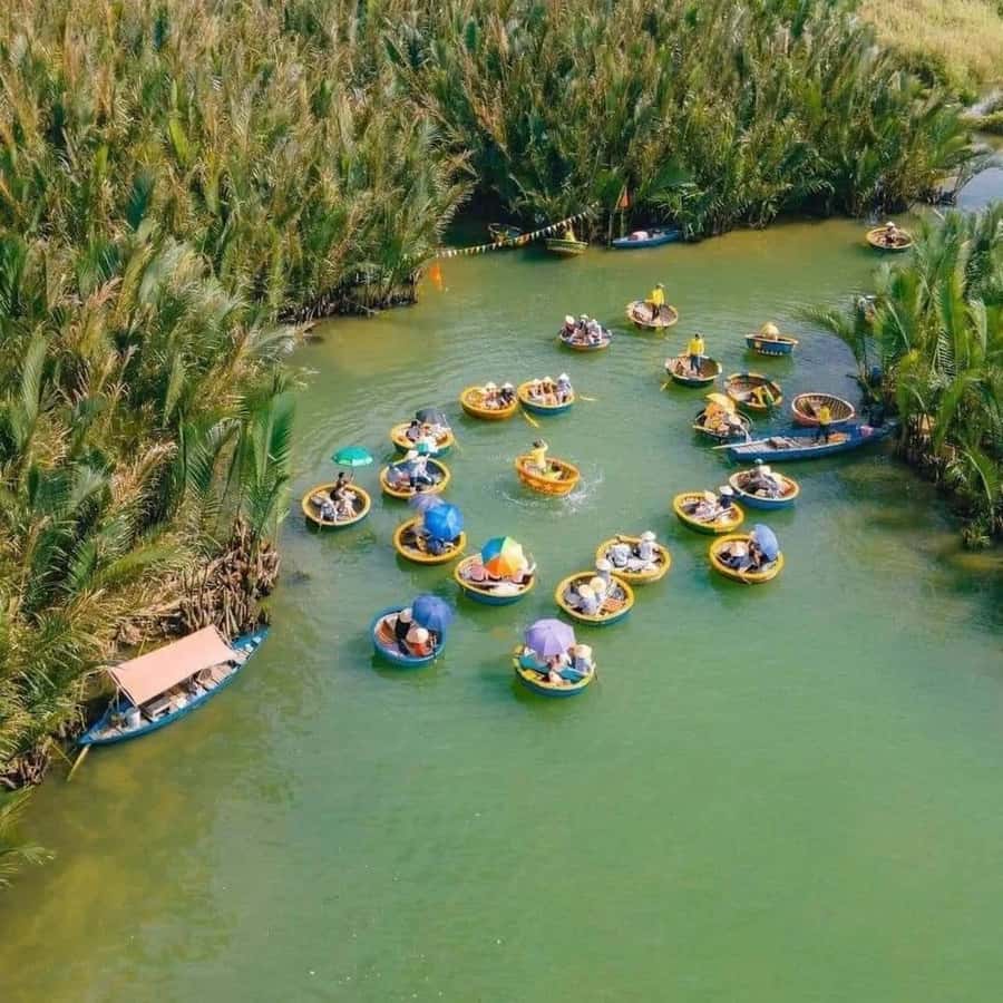 Hoi An : Bamboo Basket Boat Tour with Transportation - Trying local fishing techniques