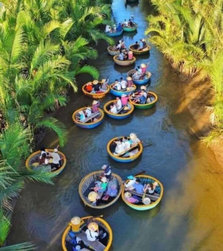 Hoi An: Basket Boat & Discover Cam Thanh Coconut Village - Key points to know before booking
