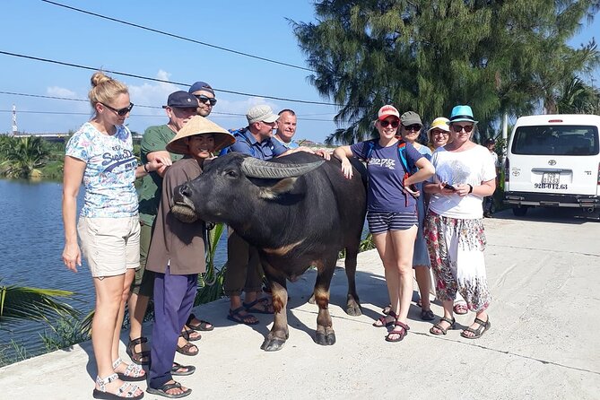 Hoi An Bicycle And Cooking Class Tour - Cam Thanh and the Bay Mau Coconut Forest