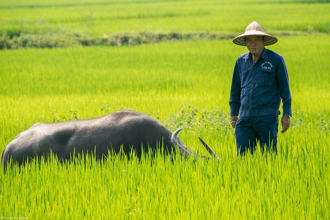 HOI AN Biking River Islands, Villages, Local Crafts PRIVATE TOUR - Duy Vinh and the colorful reed mats