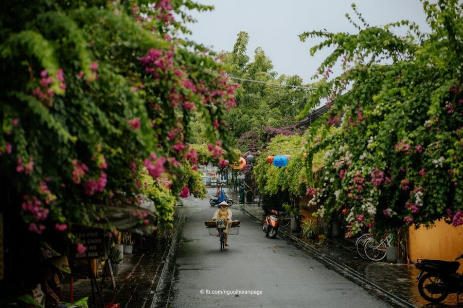 Hoi An: City Tour, Banh my and Coffee - Hoi An Museum and the handicraft workshop