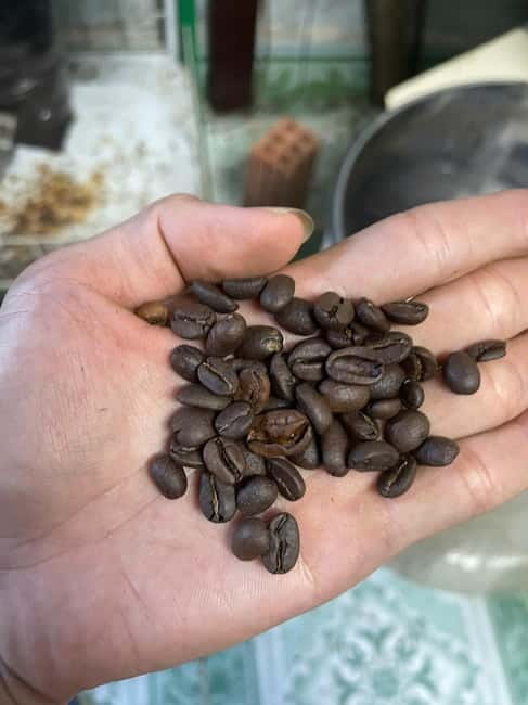 Hoi An:Coffee Making Class (Coffee: egg, Salt, Coconut, ...) - What Happens Inside the Hoi An Coffee Roastery