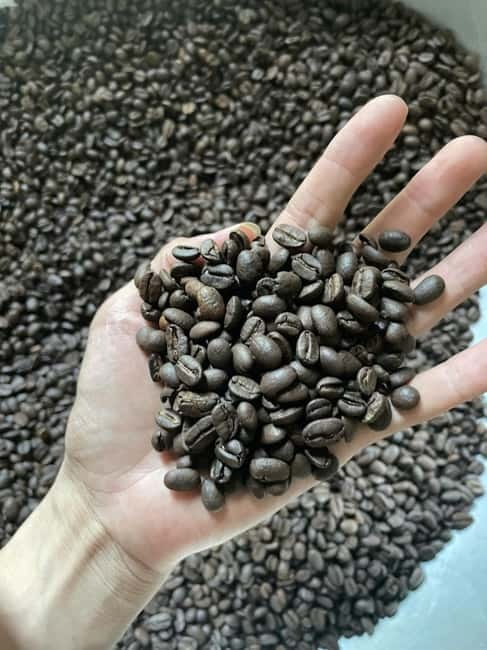 Hoi An:Coffee Making Class (Coffee: egg, Salt, Coconut, ...) - From Coffee Crop to Finished Cup