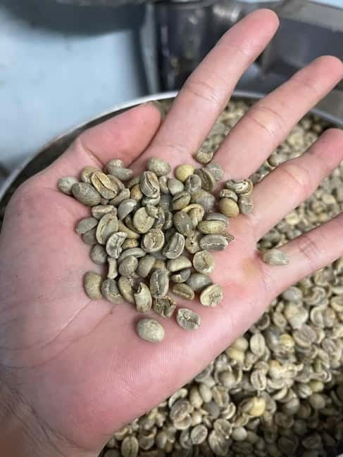 Hoi An:Coffee Making Class (Coffee: egg, Salt, Coconut, ...) - Picking Between Four Vietnamese Coffee Styles