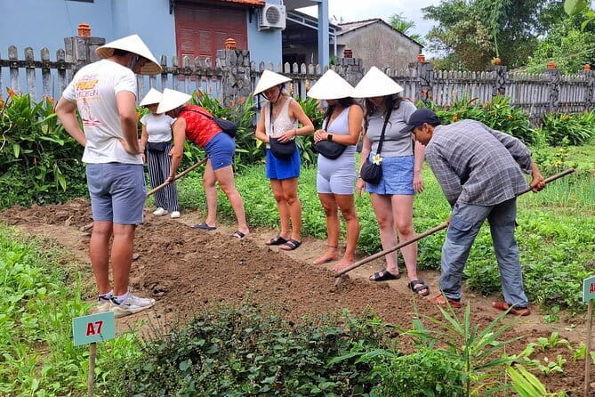 Hoi An Cooking Class & Vespa Cooking Adventure Tour - Tra Que Vegetable Village and its working gardens