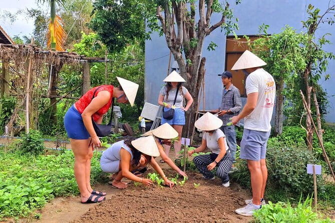 Hoi An Cooking Class & Vespa Cooking Adventure Tour - Who will enjoy this Hoi An morning?