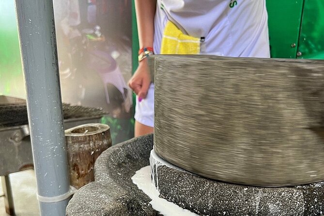 Hoi An cooking class with Basket Boat Tour - Who will enjoy this Hoi An experience