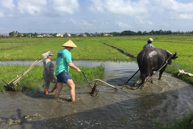 Hoi An Countrylife Tour Experience & Vietnamese Set Menu - Key points to know before booking