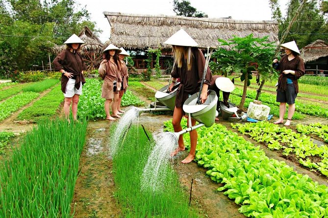 Hoi An Countrylife Tour Experience & Vietnamese Set Menu - Thanh Ha pottery village and its old craft
