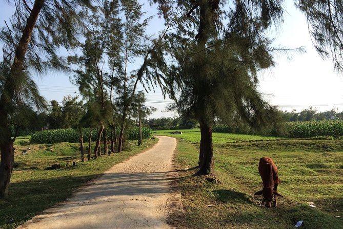 Hoi An: Countryside bike tour to Kim Bong village - Lunch with Cao Lau or Quang noodles