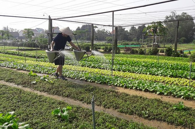Hoi An Countryside Biking Tour(Vegetable village -basket boat - fishing village) - What the $45 price includes