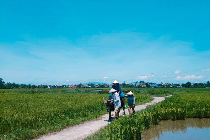Hoi An Countryside - Buffalo Riding - Basket Boat Rowing - Booking details worth checking