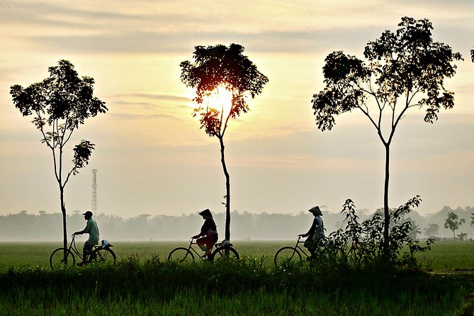 Hoi An Countryside By Bike - Food, Fruit, and Small Comforts Along the Route