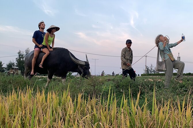 Hoi An Countryside PRIVATE TOUR - Highlights and Hidden Gems - Bay Mau Coconut Forest and the round bamboo boats