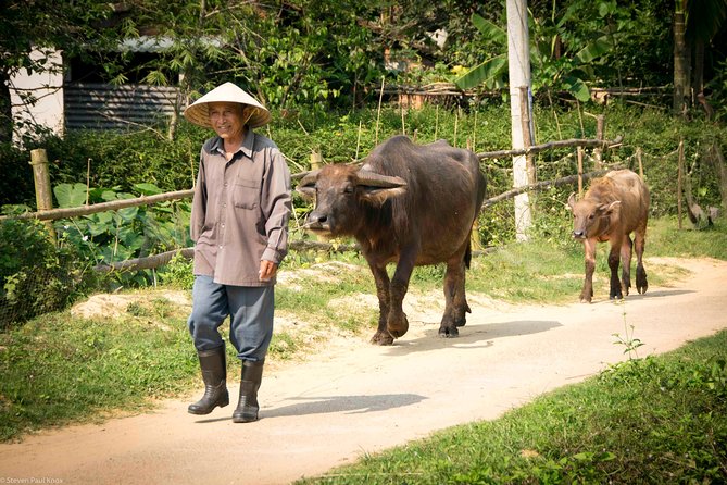 HOI AN Countryside - River Islands - Old Crafts - Local Culture - Cua Dai Bridge and the broad river view