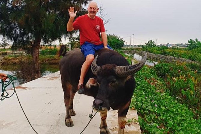 Hoi An Countryside Tour with Bamboo Basket Boat Rowing , Buffalo Ride, Farming - Tra Que Vegetable Village: getting your hands into the soil