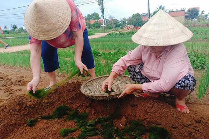 Hoi An Countryside Tour with Bamboo Basket Boat Rowing , Buffalo Ride, Farming - Guides, transport, and the private-tour advantage