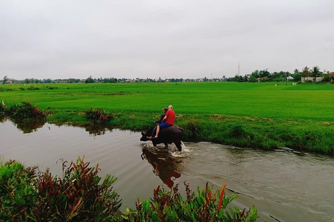 Hoi An Countryside Tour with Bamboo Basket Boat Rowing , Buffalo Ride, Farming - What the $76.42 price really covers