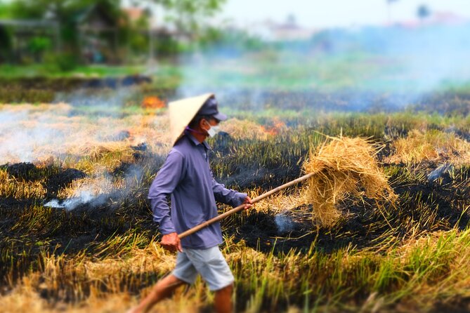 Hoi An Countryside Vespa Tour: Food, Culture & Daily Life - Tra Nhieu and the Whale Temple