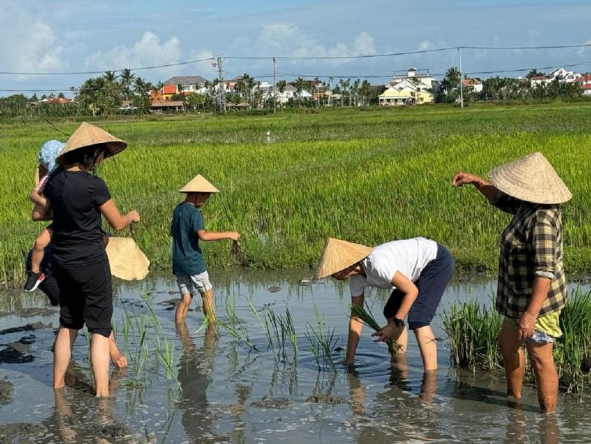 Hoi An:Cycling,Traditional Farming & Fishing Life Experience - Cycling from Hoi An into the rice country