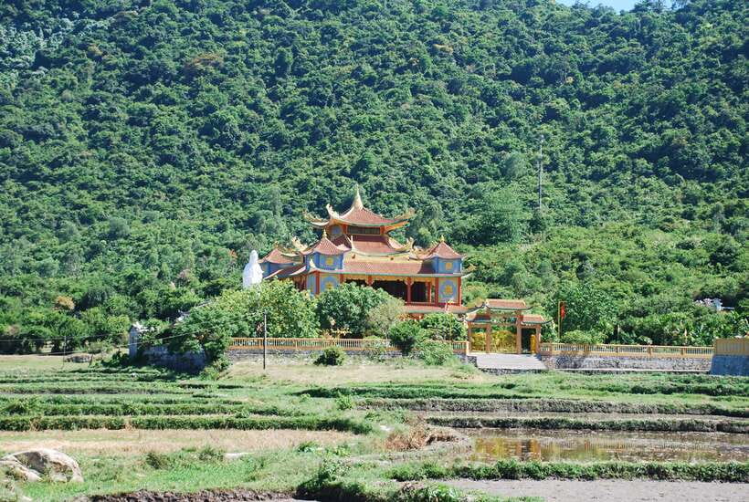 Hoi An/ Da Nang: Cham Island Discovery Tour - A speedboat morning from Hoi An