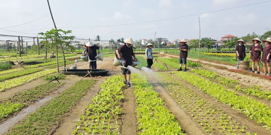 Hoi An: Evening Cooking Class with Locals in Herbs Village - The value of the $27 price