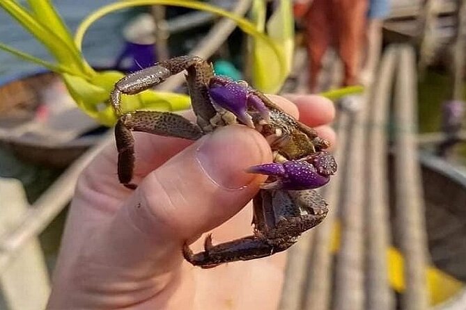 Hoi An Fishing Tour Private-Lantern /Cafe Making Class by Lunch - Key points to know before you book