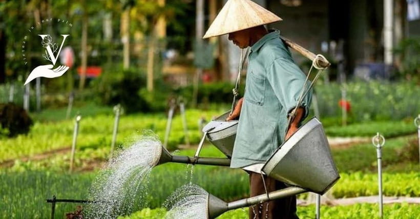 Hoi An Food Tour - Street Eats And Hoi An Hidden Gems - Starting in the lanes away from the old town crowds