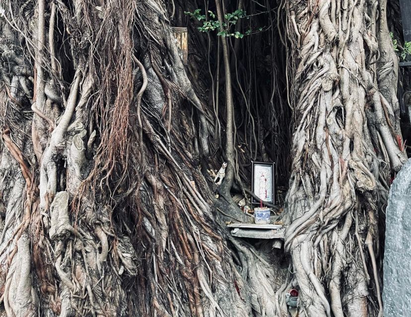 Hoi An Ghosts, Death, Mystery Unveiled - What the guide adds to the night
