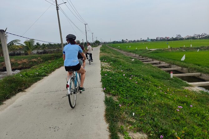 Hoi An Half-Day Bicycle Tour: Visit Herb Village, Row Basket Boat - Key points to know before you book