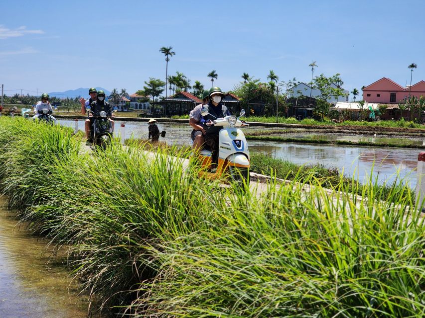 Hoi An Highlights and Hidden Gems Tour by Vespa - Coffee and farm life in An My village