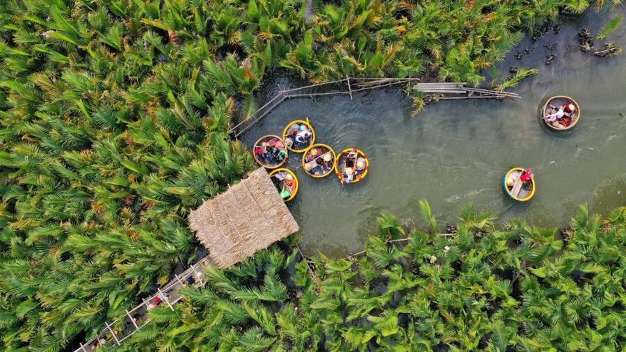 Hoi An: Hoi An Basket Boat Ride in Water Coconut Forest - Key points to know before you go