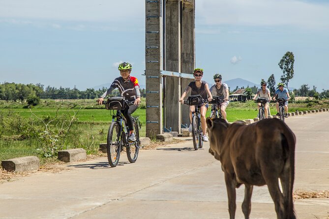 Hoi An Morning Countryside Tour by Bike - Key points at a glance