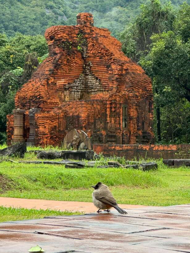 Hoi An: My Son Sanctuary Private Tour with Local Guide - Walking among the Champa temples