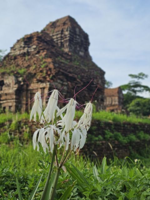 Hoi An: My Son Sanctuary & Sunset River Cruise BBQ or Banhmi - Sunset on the Thu Bon River