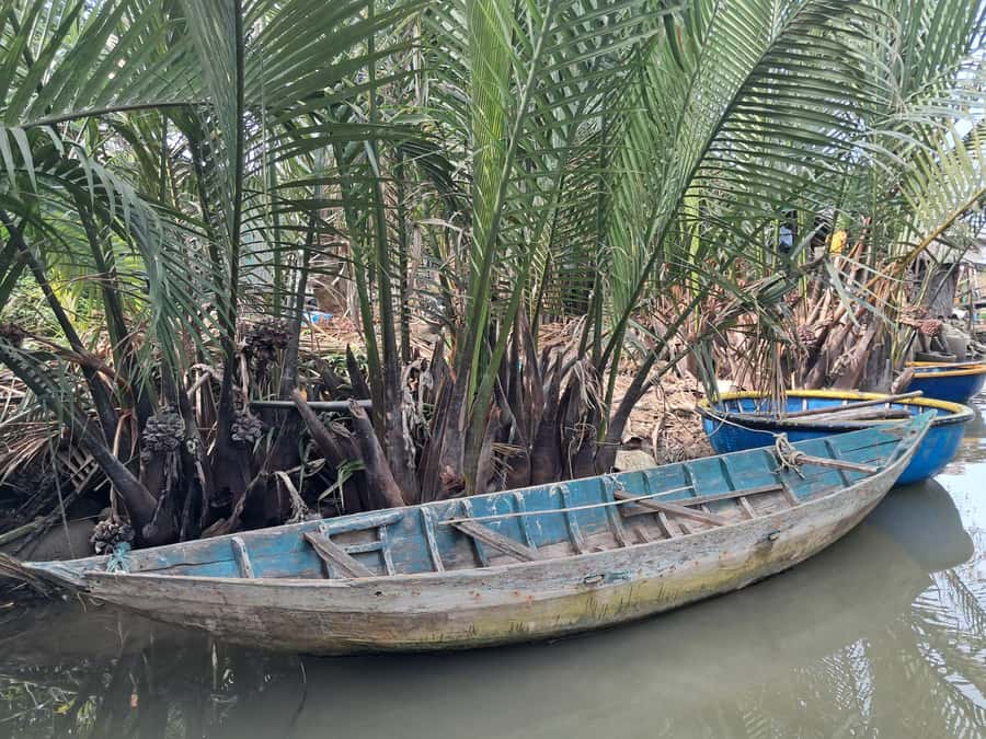 Hoi An: My Son Sanctuary with Basket Boat and Lunch Options - Adding the Bay Mau basket boats