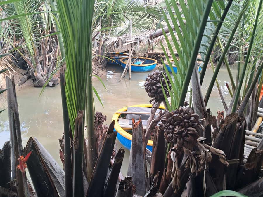 Hoi An: My Son Sanctuary with Basket Boat and Lunch Options - What the $18 price really covers
