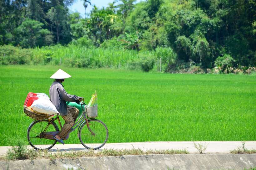 Hoi An: Private Cycling to My Son Sanctuary with Local Guide - A market stop, fruit, and local coffee