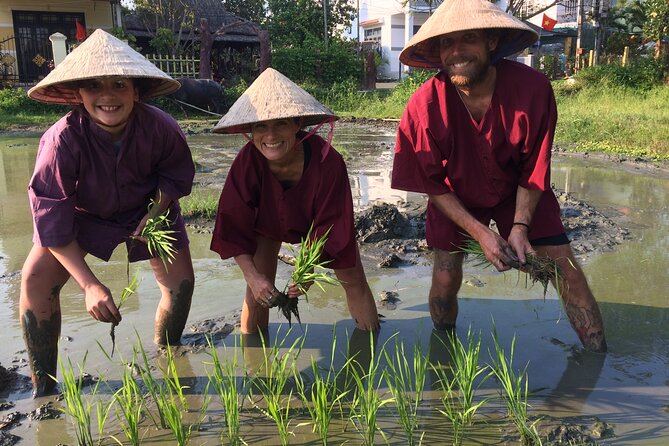 Hoi An Rice Farm Tour and Buffalo Riding with Local Home Meal - Learning how water buffalo prepare the fields