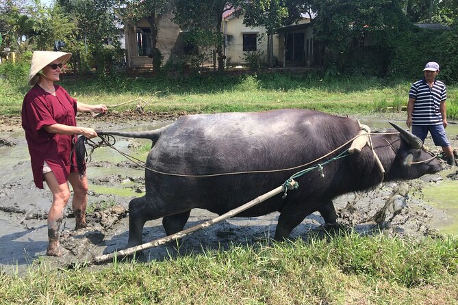 Hoi An Rice Farm Tour and Buffalo Riding with Local Home Meal - Cooking and lunch at a local home