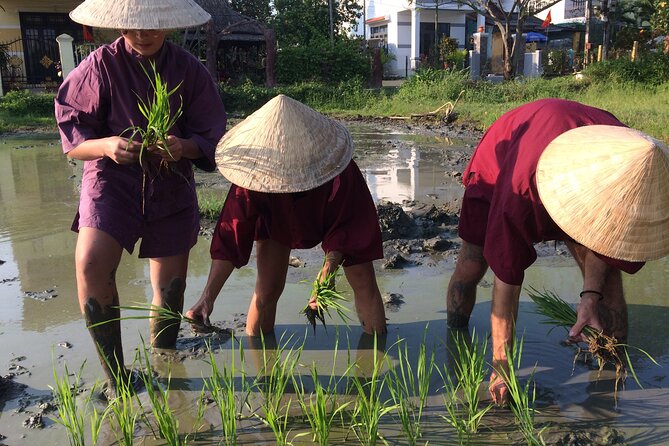 Hoi An Rice Farm Tour and Buffalo Riding with Local Home Meal - What the $60 price covers
