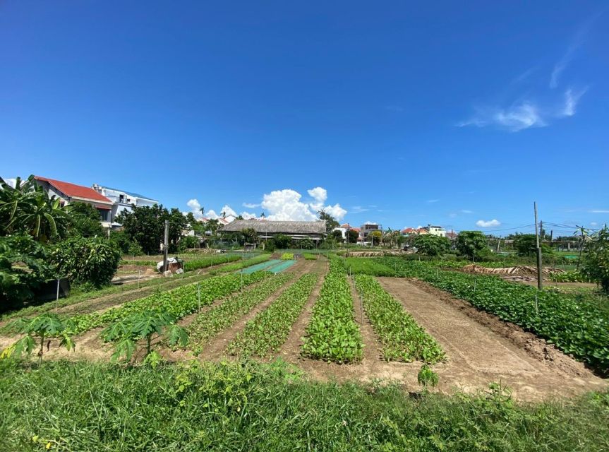 Hoi An: Rural Cycling Tour to Village with Basket Boat Ride - Tra Que Vegetable Village and hands-on farming