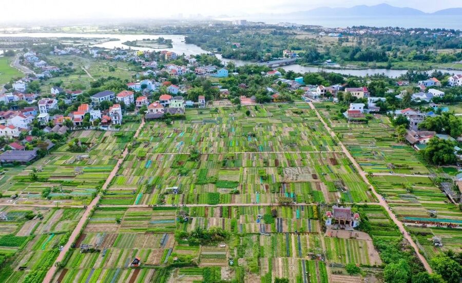 Hoi An: Rural Cycling Tour to Village with Basket Boat Ride - What the pace and cycling are really like